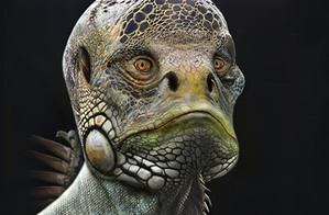 How to Design Creatures - Sculpture to Photoshop
