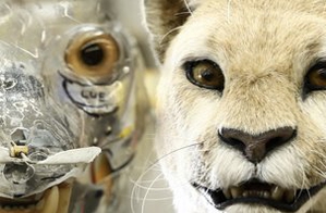 How to Make Animatronic Characters - Organic Mechanics Part 1