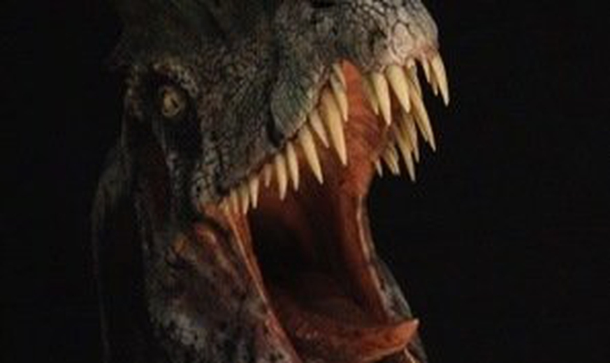 Dinosaur Art Contest Winners!