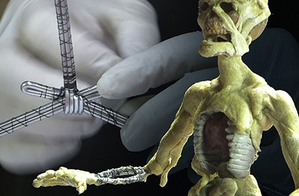 Stop Motion Animation Part 1: Puppet Creation