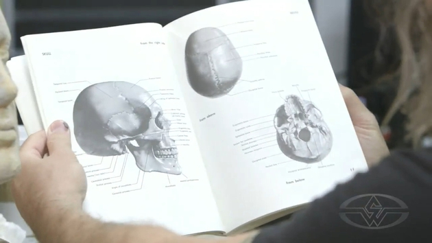 How to Sculpt a Mask - Anatomical Reference