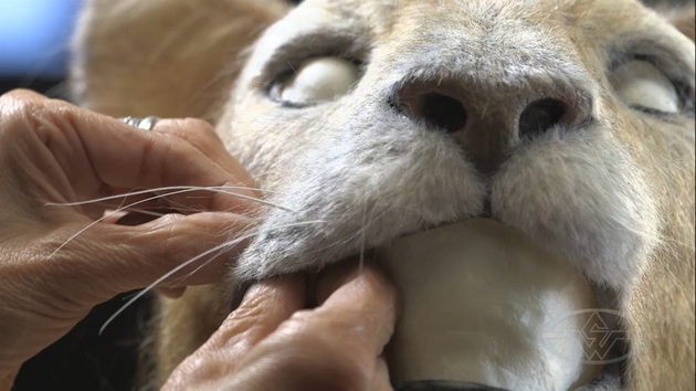How to Make Whiskers for Animatronic Animals