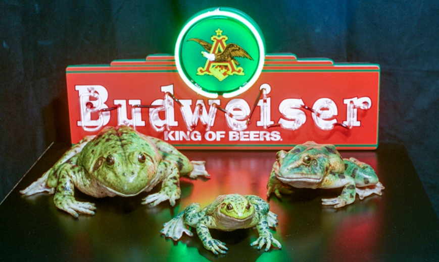 Iconic 90s Budweiser Beer Frogs store Toad Snap Back Hat GUC Grail Marketing Alcohol