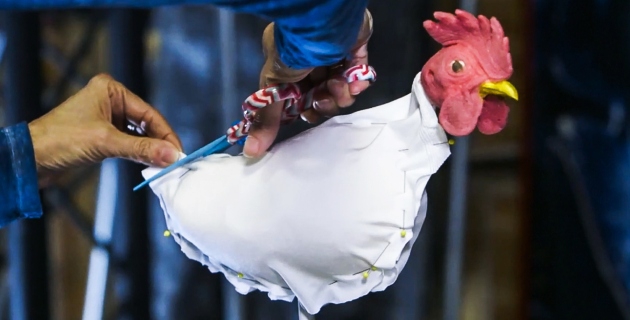 How to Drape a Sock Over Your Chicken Form