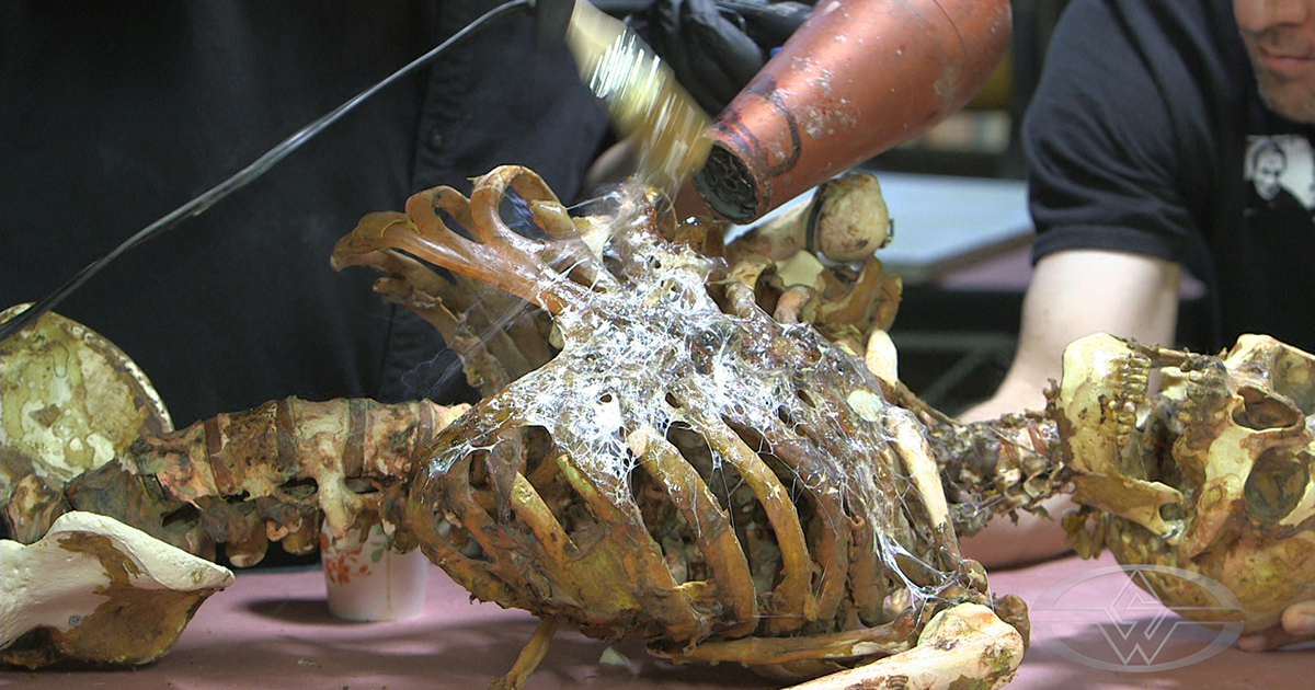 How to Make a Corpse Prop: Adding Rotten Skin | Stan Winston School of ...